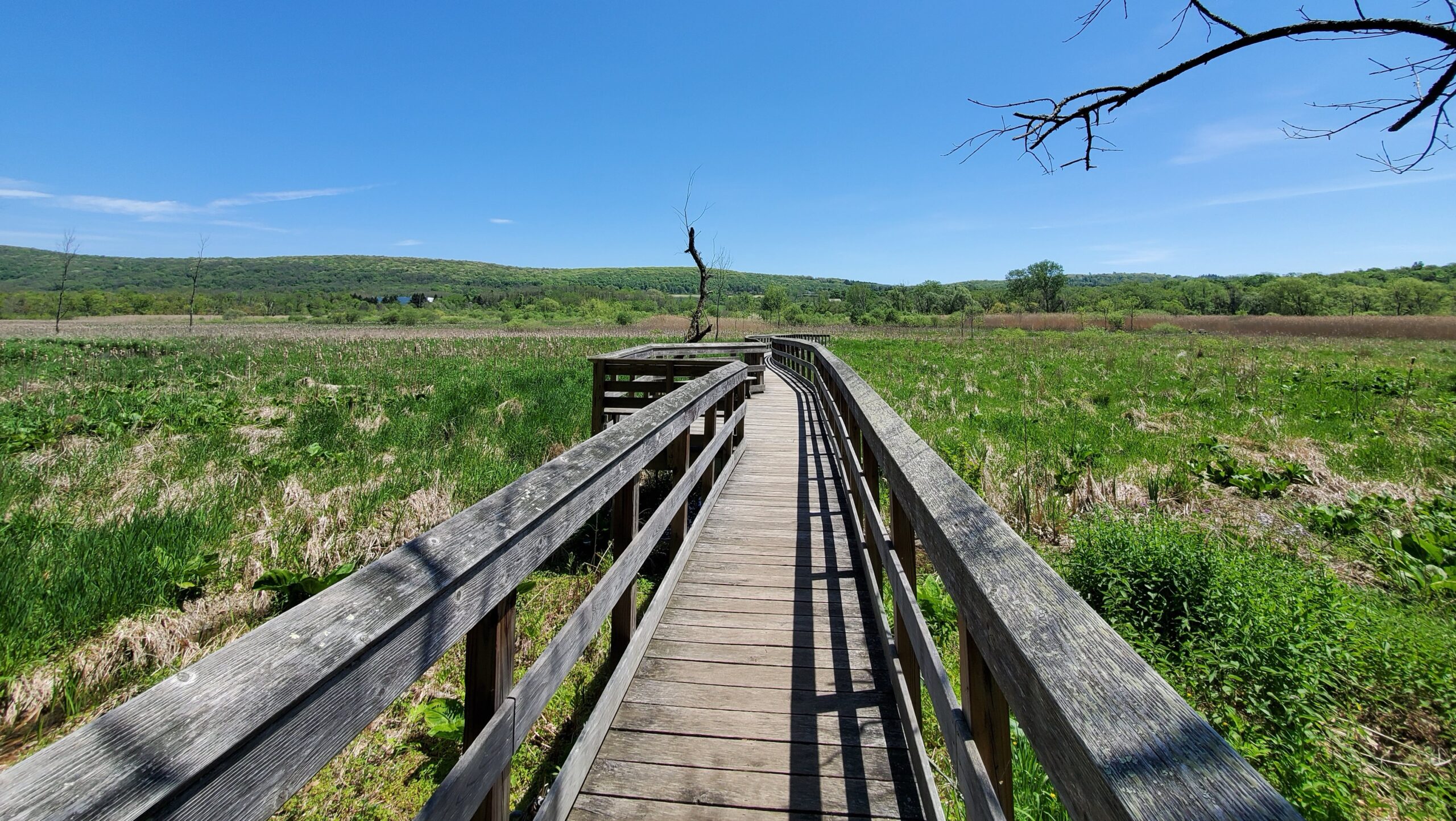 You are currently viewing Day 631 – Thoughts in Motion